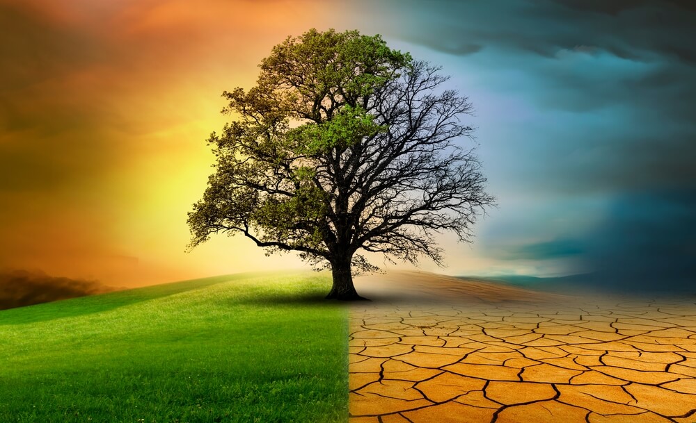 ley cambioclimatico ley cambioclimatico